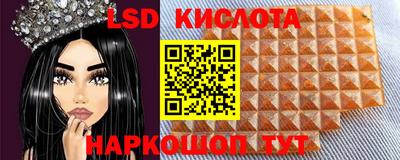 гидропоника Славгород