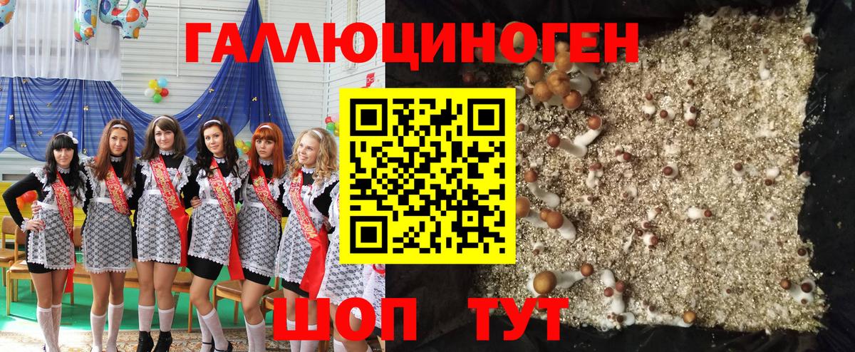 Галлюциногенные грибы мицелий Сафоново