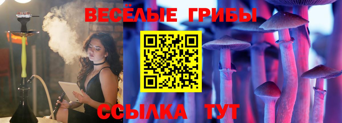 Галлюциногенные грибы прущие грибы  Вход с VPN  Сафоново 